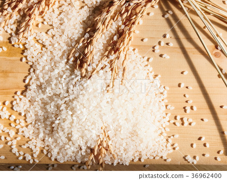 Top view of Abundant Ear rice on wood  36962400