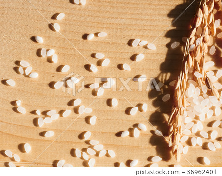 Top view of Abundant Ear rice on wood  36962401