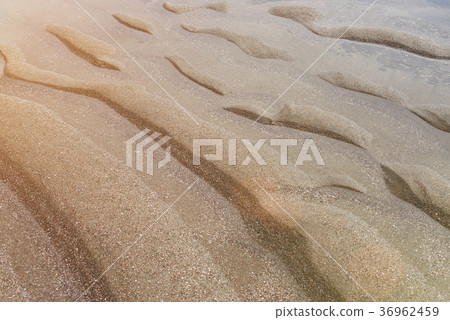 sands dunes on beach 36962459