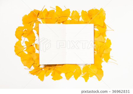 Blank paper on ginkgo leaves background 36962831