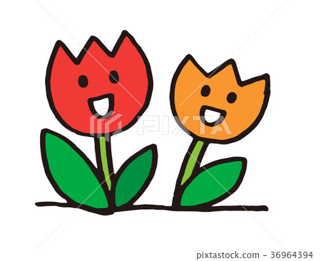 鬱金香微笑 鬱金香微笑 36964394