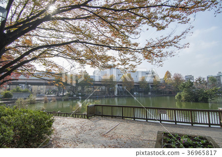 Itabashi-ku, Tokyo Miyoshi Park Itabashi-ku, Tokyo Miyoshi Park 36965817