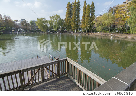 Itabashi-ku, Tokyo Miyoshi Park Itabashi-ku, Tokyo Miyoshi Park 36965819