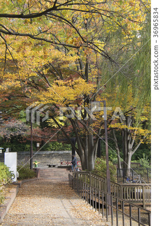 Itabashi-ku, Tokyo Miyoshi Park Itabashi-ku, Tokyo Miyoshi Park 36965834