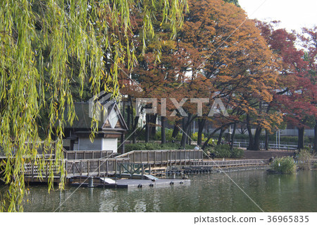 Itabashi-ku, Tokyo Miyoshi Park Itabashi-ku, Tokyo Miyoshi Park 36965835