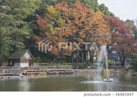 Itabashi-ku, Tokyo Miyoshi Park 36965847