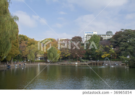 Itabashi-ku, Tokyo Miyoshi Park 36965854