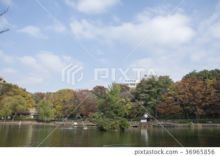 Itabashi-ku,東京三好公園 Itabashi-ku,東京三好公園 36965856