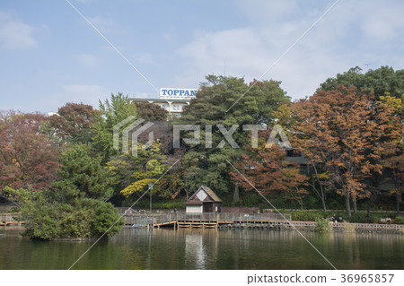 Itabashi-ku, Tokyo Miyoshi Park Itabashi-ku, Tokyo Miyoshi Park 36965857