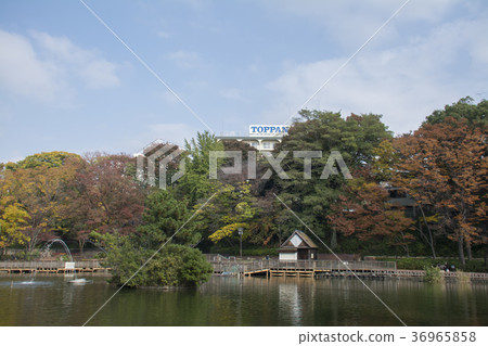 Itabashi-ku,東京三好公園 Itabashi-ku,東京三好公園 36965858