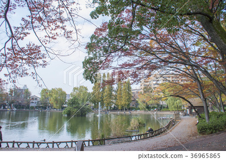Itabashi-ku, Tokyo Miyoshi Park Itabashi-ku, Tokyo Miyoshi Park 36965865
