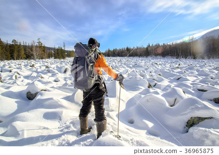 Hiker with backpack on the snow field of stones at Hiker with backpack on the snow field of stones at 36965875
