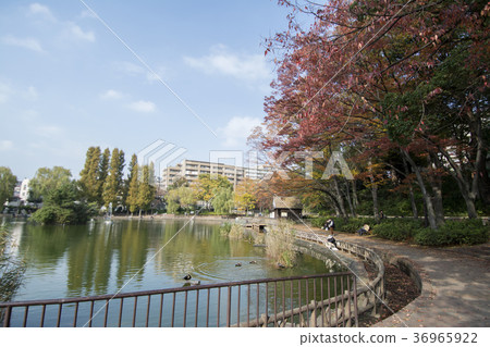 Itabashi-ku, Tokyo Miyoshi Park Itabashi-ku, Tokyo Miyoshi Park 36965922