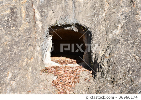 百名吉美 百名吉美 36966174