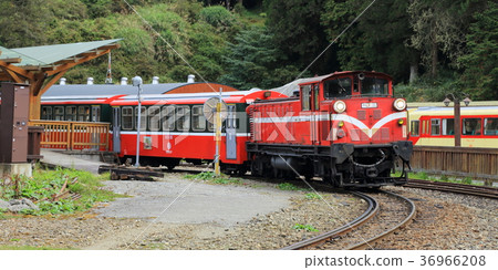 Alishan Forest Railway, Taiwan 36966208