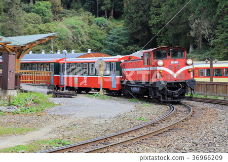 Alishan Forest Railway, Taiwan 36966209