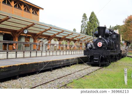 Alishan Forest Railway, Taiwan 36966213