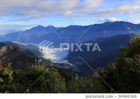 台灣阿里山國家風景區 36966368