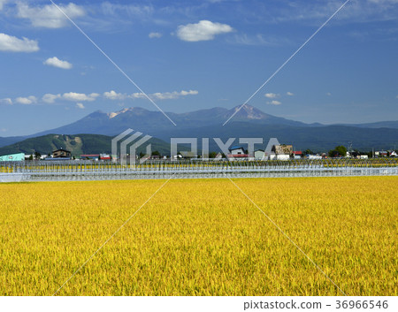 農村和大雪山 農村和大雪山 36966546