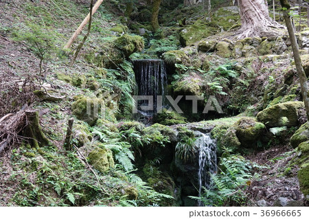 Kochitani Amida寺 36966665