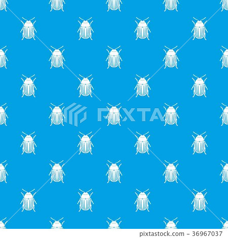 Colorado potato beetle pattern seamless blue Colorado potato beetle pattern seamless blue 36967037
