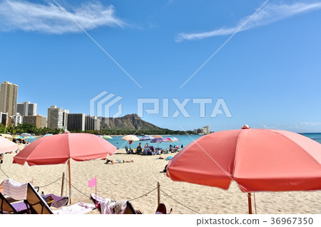 夏威夷的假期 36967350