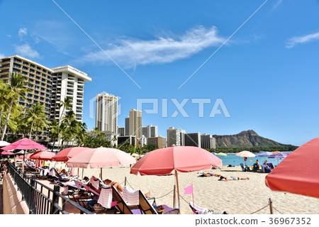 Holidays in Hawaii Holidays in Hawaii 36967352
