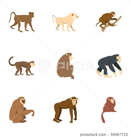 Monkey icon set, flat style 36967720