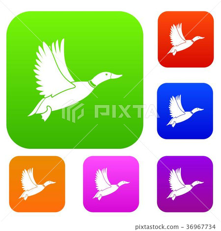 Duck set collection - Stock Illustration [36967734] - PIXTA