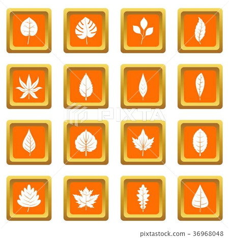 Plant leafs icons set orange 36968048