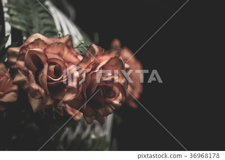 Orange roses with a black background. 36968178