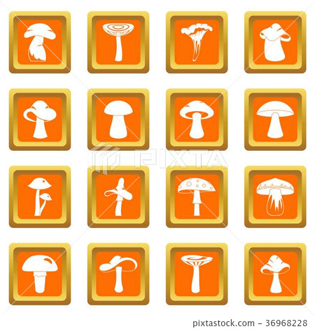 Mushroom icons set orange Mushroom icons set orange 36968228