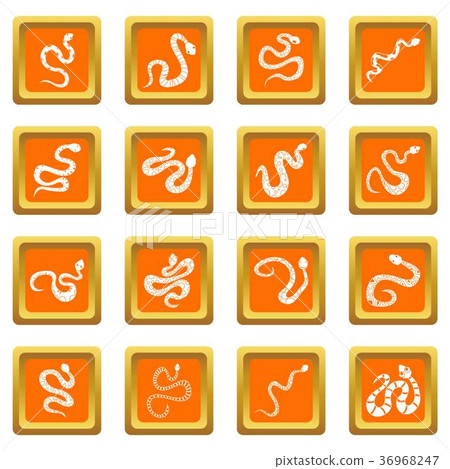 Snake icons set orange Snake icons set orange 36968247