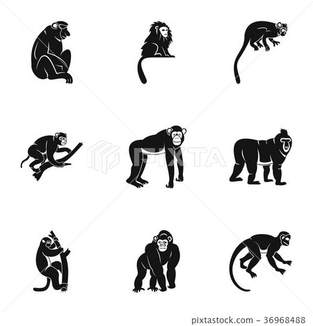 Different monkey icon set, simple style 36968488