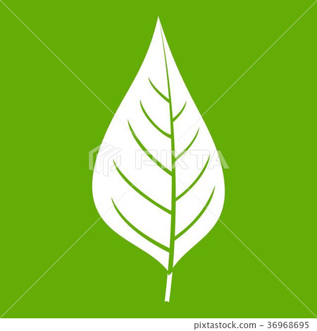 Apple tree leaf icon green 36968695