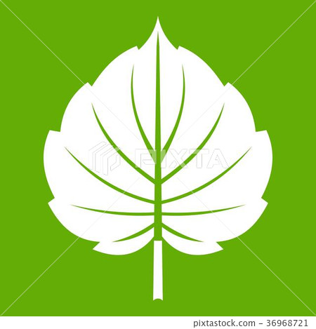 Alder leaf icon green 36968721