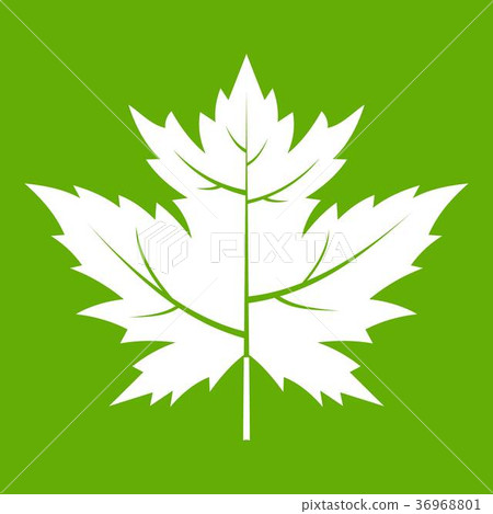 Gooseberry leaf icon green Gooseberry leaf icon green 36968801