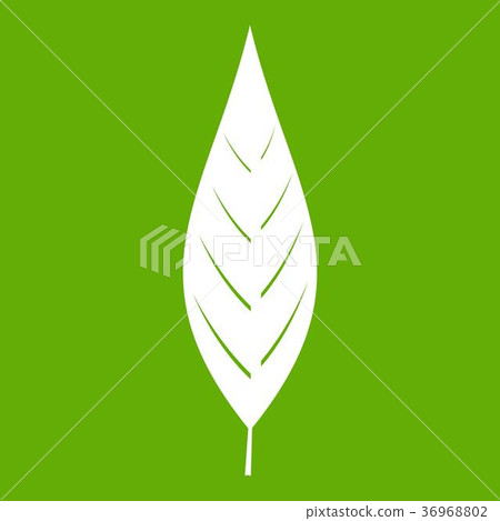 Leaf of willow icon green Leaf of willow icon green 36968802
