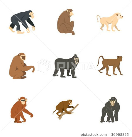 Species of monkey icon set, flat style Species of monkey icon set, flat style 36968835