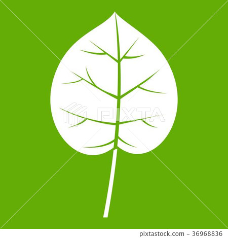 Linden leaf icon green Linden leaf icon green 36968836