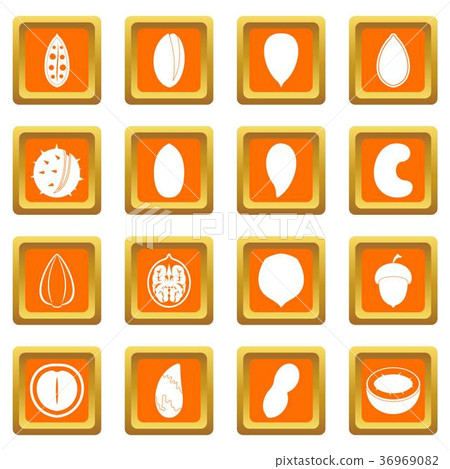 Nuts icons set orange Nuts icons set orange 36969082