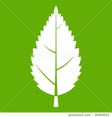 Hornbeam leaf icon green Hornbeam leaf icon green 36969085