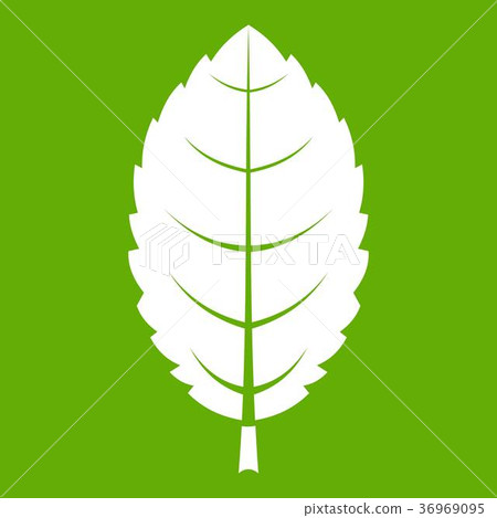 Plum leaf icon green Plum leaf icon green 36969095