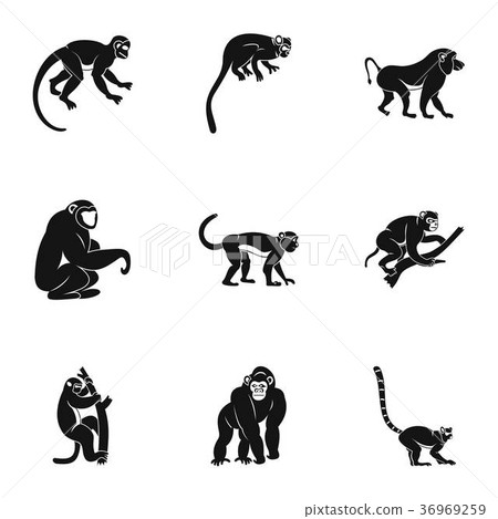 Species of monkey icon set, simple style 36969259