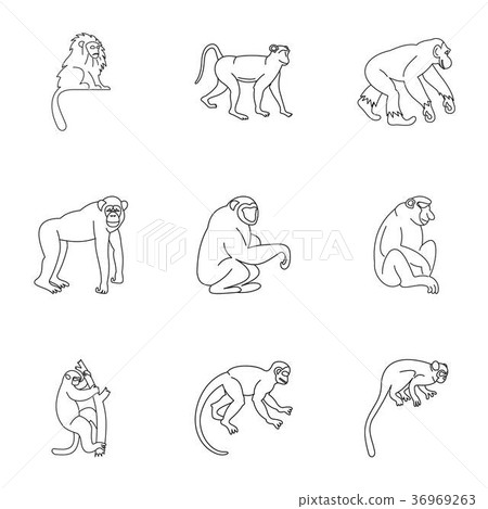 Tropical monkey icon set, outline style 36969263