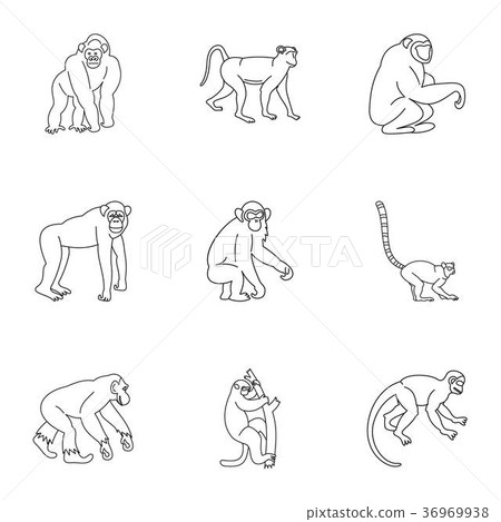 Jungle monkey icon set, outline style Jungle monkey icon set, outline style 36969938