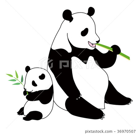 Giant panda's parent and child 36970507