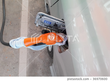 Automobile fuel in petrol stations Automobile fuel in petrol stations 36970600