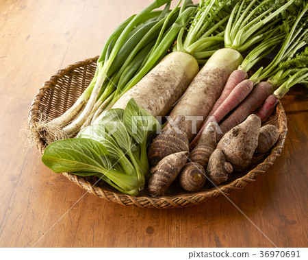 Vegetable collection 36970691