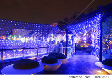 Namba illumination Namba illumination 36970867